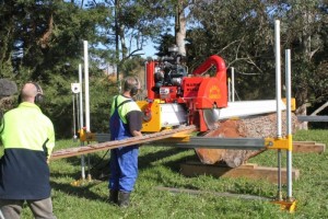 forestry, logging, sawmills, pulp, planer, wood, Grande Prairie, GPAB, machine shop in Grande Prairie, maintaining forestry equipment, repairing sawmills, heavy equipment