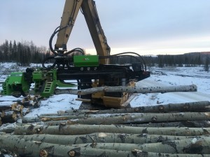 the treeking forestry attachment